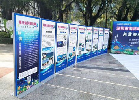 泸西KT板的种类和知识。